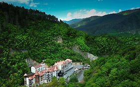 Crowne Plaza - Borjomi By Ihg